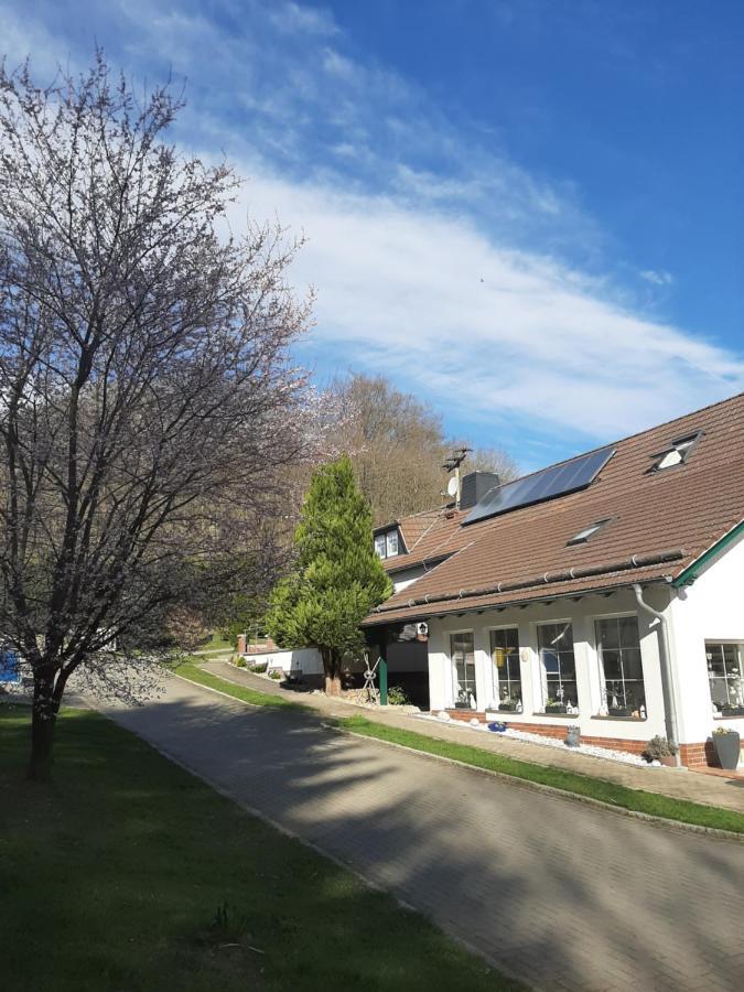 Der Perfekte Ausgangspunkt Apartamento Konigerode Exterior foto