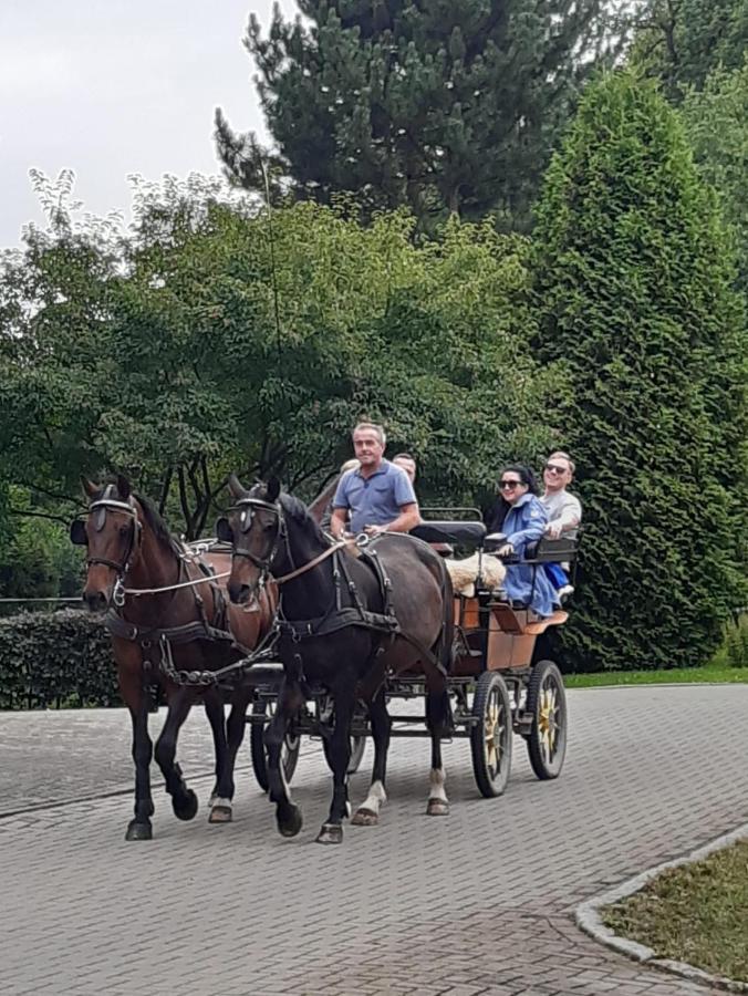 Der Perfekte Ausgangspunkt Apartamento Konigerode Exterior foto